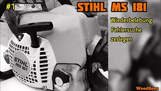 STIHL MS 181 vor Container gerettet Wiederbelebung??? # Stihl #WoodBoss