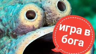 Александр Панчин. Игра в бога: как хакнуть генетический код? Часть 1