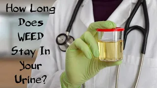 How Long Does WEED Stay In Your Urine? 🌿 | Answering Your Most Googled Medical Questions! | HTG