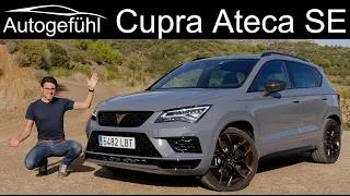 Cupra Ateca Limited Edition FULL REVIEW - how does it rate to VW T-Roc R and Porsche Macan 4-cyl?
