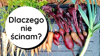 Przygotowania do zimy a marchew🥕, pietruszka i cebula jeszcze w ziemi🙉 Plany na jesień w ogrodzie👩‍🌾