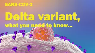 DELTA VARIANT,WHAT DO WE KNOW | How it happens?  Symptom? Vaccine effectiveness? COVID19 SARS-COV-2