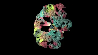 3D Tree Fractal Demo