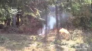 Mossburg 500 Blows Up at Allegheny National Forest