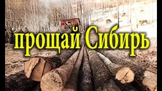 Як Китай повільно забирає російський Сибір собі