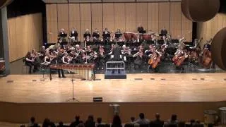 Ney Rosauro - Marimba Concerto no. 2, mov. 2, performed by Antek Olesik