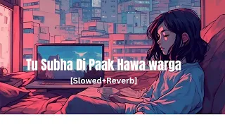 Tu Subha Di pak Hawa Warga Slowed Reverb Song#Bakar_Editor Full Lofi Song 2023