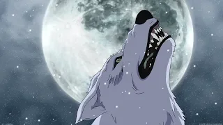 Useless Anime Knowledge: Wolf's Rain