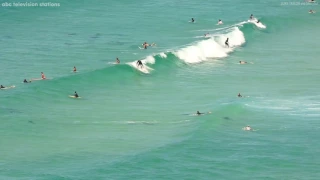 Surfers catch waves with dolphins in Australia