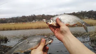 РЫБЕЦ В МАРТЕ!!! РЫБАЛКА на РЫБЦА на реке АКСАЙ ВЕСНОЙ!!! Первый выезд на АКСАЙ 2023!!!