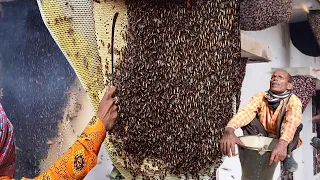 Harvesting Honey - Bee Master in Taiwan Ep- 303 By @Sarvaivel_Rad