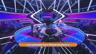 Questions pour un champion – Quatre à la suite - 17-11-2016