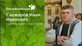 Иван Санжаров | Беседа с создателем проекта «Кедры России»