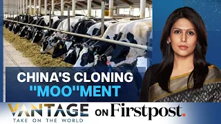 China Creates "Super Cows" | Cloning in China | Vantage with Palki Sharma