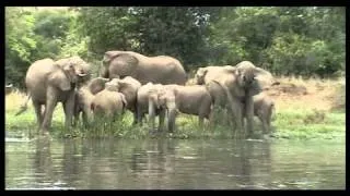 Uganda. National Park Murchison Falls