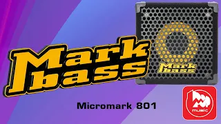 [Eng Sub] Markbass Micromark 801 bass combo