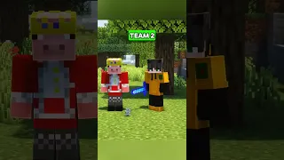 TEAM 1 OR TEAM 2 🤔#shorts #minecraft