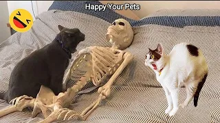 funny cat videos 2023😸🐶funny animal videos 2023 || part 87