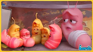 Larva Glue ( Season 3) Larva Cartoons - Official🍟 Best Cartoon Movie 2022