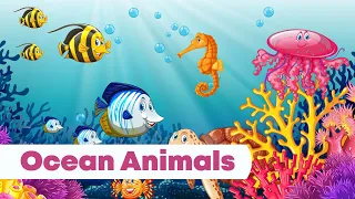 Learn Sea Animals Name for Kids - Ocean Fish & Sea Creatures - Types of Sea Animals - Marine Life