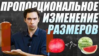 Что будет с объемом и массой при пропорциональном увеличении размеров? Математика на QWERTY