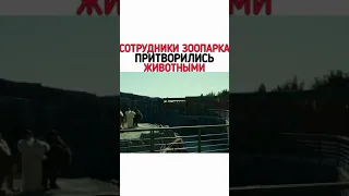 СОТРУДНИКИ ЗООПАРКА ПРИТВОРИЛИСЬ ЖИВОТНЫМИ