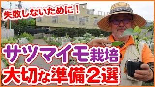 失敗しない栽培準備！家庭菜園や農園のサツマイモ栽培で種芋から苗を作る方法！良い苗を作るコツや準備方法を徹底解説！【農園ライフ】