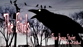 "The Birds" True Horror Stories from my Childhood.