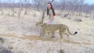 A Once in a Lifetime Ethical Cheetah Encounter with Sylvester