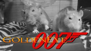 Rats Slap Fight With GoldenEye 007 SFX