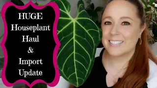 HUGE Houseplant Haul, Anthurium Unboxing, & Import Update!!