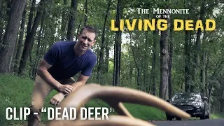 The Mennonite of the Living - Dead Deer