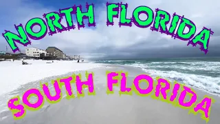 North Florida VS South Florida ~ Which Is Better? 🌴