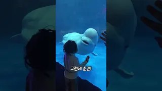 아이를 본 벨루가 반응 #shorts