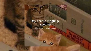 My arabic language (sped up) Muhammad Al Muqit