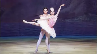 The Nutcracker: Sugarplum Fairy and Cavalier Pas de Deux