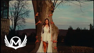 Matteo ✘ @TheoRose - Copacul 🌳 Official Video