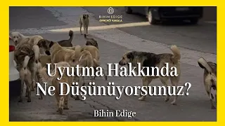 UYUTMA  hakkında ne düşünüyorsunuz? / Bihin Edige