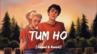 TUM HO - Mohit Chauhan [Rockstar] I [slowed & reverb] I LOFI