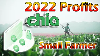 Chia farming Profits checkup 2022