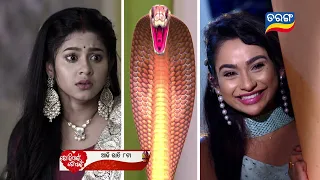 Tori Pain To Pain | 13th March 2024 | Episodic Promo-253 | Tarang TV | Tarang Plus