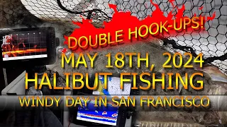 Halibut Fishing San Francisco Bay Windy But Productive Day