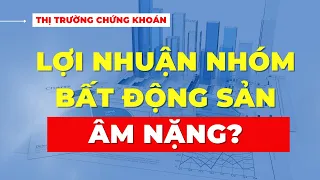 Lợi Nhuận Quý I/2024 Nhóm Bất Động Sản Âm Nặng? - Đánh Giá?