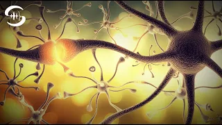 Instant Nerve Regeneration: Healing Nervous System Music (isochronous tones)