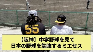 【癒しキャラ】中学野球を見て日本の野球を勉強するミエセス【なんJ なんG野球反応】【2ch 5ch】