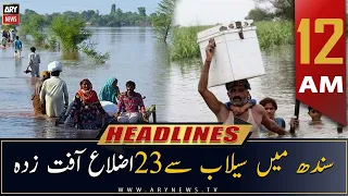 ARY News | Prime Time Headlines | 12 AM | 29th August 2022