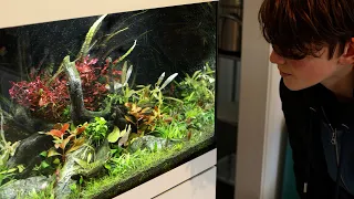 I gave my psychotherapist an aquascape...