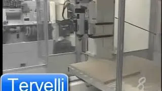 lazer tarama ile 5eksen cnc makinasında medikal protez yapma Thermwood