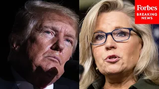 ‘Backstabbing RINO Republicans’: Trump Attacks Liz Cheney As He Endorses Her Congressional Opponent