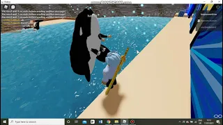 Playing an orca game created by my friend